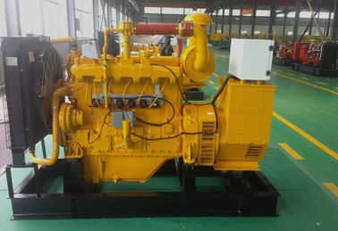 Cummins Durable Natural Gas Portable Generator Stamford Alternator With CHP System