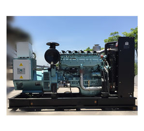 Sinotruk Engine 300kw Natural Gas Generator 375kva electricity power plant LNG